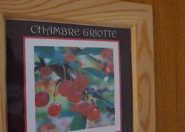 Pensjonat Le Bosquet Fruite D'hotes En Provence Occitane 3*